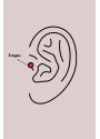 Erb 316L Çelik Gold Renk Pembe Zirkon Taşlı Sallantı Yıldız Detay Tragus Piercing