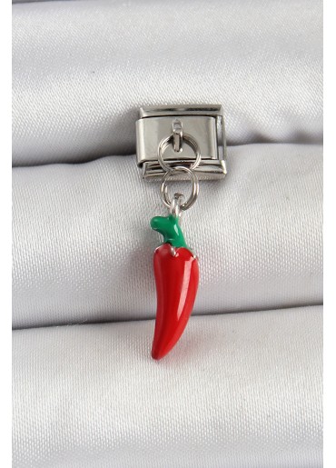 Erb 316L Çelik Gümüş Renk Kapya Biber Model Nomination Charm