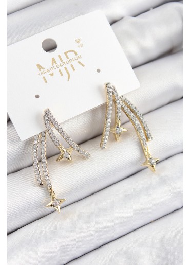 Erb Pirinç Zirkon Taşlı Kayan Yıldız Model Gold Ve Gümüş Renk Kadın Küpe