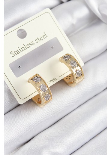 Erb 316L Çelik Zirkon Taşlı Halka Model Gold Ve Gümüş Renk Kadın Küpe