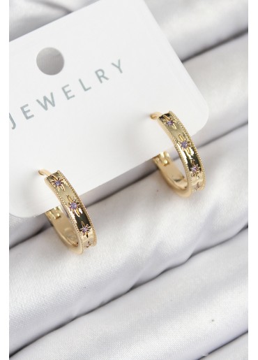 Erb Pirinç Zirkon Taşlı Halka Model Gold Renk Kadın Küpe