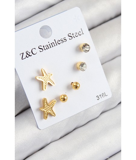 Erb 316L Çelik Zirkon Taşlı Deniz Yıldızı Model Gümüş Renk Kadın Set Küpe
