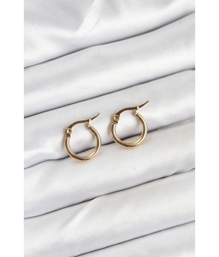 Erb 316L Çelik Gold Renk 12 Mm Halka Kadın Küpe