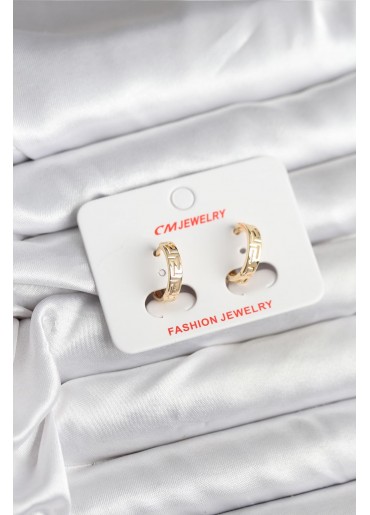 Erb 14K Gold Renk Kaplama CM Kadın Küpe