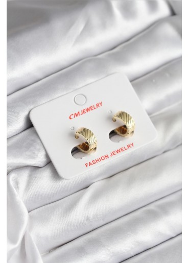 Erb 14K Gold Renk Kaplama CM Kadın Küpe