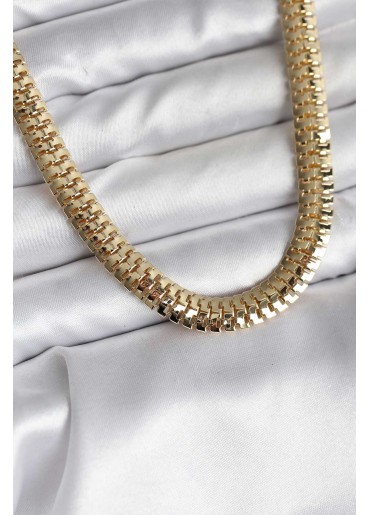 Erb 14K Gold Renk Kaplama Zincir Modelli CM Kadın Kolye