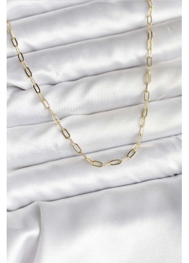 Erb 14K Gold Renk Kaplama Ataç Zincir Model CM Kadın Kolye